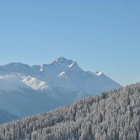 Chasa Chalur Daire *